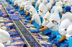 Tháng đầu năm, doanh thu xuất khẩu của "nữ hoàng" cá tra Vĩnh Hoàn sang Trung Quốc giảm 84%