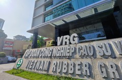 Tập đoàn Cao su Việt Nam (GVR) đặt kế hoạch lãi sau thuế 2022 đi ngang, cổ tức dự kiến 5%