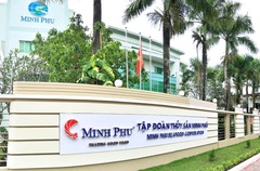 "Vua tôm" Minh Phú (MPC) sắp phát hành gần 200 triệu cổ phiếu thưởng, tỷ lệ 1:1