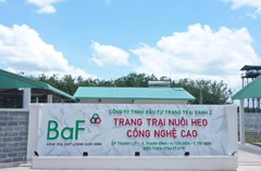 BAF Việt Nam thành lập công ty con mảng logistic, vốn điều lệ 20 tỷ đồng