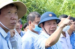 Quảng Ngãi: Chủ tịch tỉnh “lệnh” giữ nguyên trạng đất đai ở Lý Sơn đến khi công bố quy hoạch 1/2000