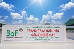 BAF Việt Nam (BAF) phê duyệt khoản vay 500 tỷ đồng 