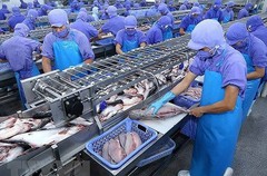 "Nữ hoàng cá tra" Vĩnh Hoàn báo lãi giảm gần 70% trong quý IV/2023