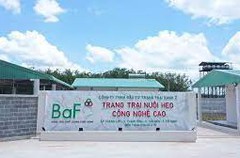 Nông nghiệp BaF thâu tóm một công ty chăn nuôi heo ở Đắk Lắk