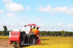 Angimex sắp thoái toàn bộ vốn tại Công ty AGM Agritech