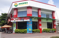 Angimex (AGM): Lỗ lũy kế gấp 24 lần vốn chủ, sắp bán loạt tài sản để trả nợ vay