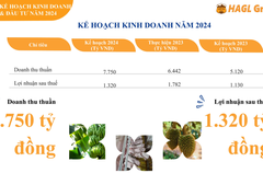 Hoàng Anh Gia Lai (HAG) trình kế hoạch lãi giảm 26%