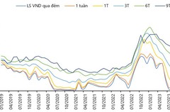 VDSC: Ngân hàng Nhà Nước đã bán 4,1 tỷ USD trong tháng 5 để điều hành tỷ giá