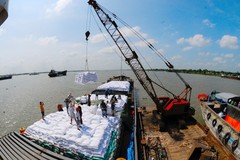 Indonesia nhập khẩu thêm 500.000 tấn gạo, cơ hội lớn cho Việt Nam