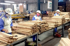Đây là lý do VNDirect dự báo biên lãi gộp doanh nghiệp ngành gỗ sẽ giảm trong năm 2023