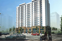 Dịch vụ Tiến Thành (TTH) lên kế hoạch thoát lỗ, tiết lộ lí do không chia cổ tức