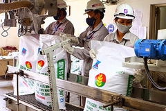 Giá phân bón có dấu hiệu tích cực, lợi nhuận các ông lớn DPM, BFC được dự phóng thế nào?