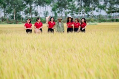 Quảng Trị: Agribank sát cánh cùng bà con nông dân cho những vụ mùa bội thu