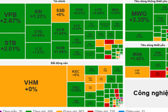 Chỉ số VN-Index hôm nay tăng gần 12 điểm, nhóm viễn thông dẫn dắt thị trường