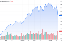 Vốn hóa mất gần 10 tỷ USD trong một phiên, liệu VN-Index có hồi lại trong ngắn hạn?