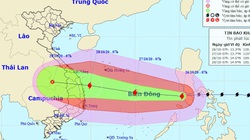 Khẩn cấp: Sáng 28/10, bão số 9 có thể đổ bộ Đà Nẵng - Phú Yên, nâng một cấp rủi ro thiên tai 