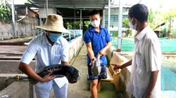 Tiền Giang: Cả đời chỉ lo nuôi các loài cá "suýt tuyệt chủng" mà nên danh hiệu "Nông dân Việt Nam xuất sắc 2021"
