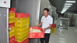Nông dân Việt Nam xuất sắc 2022 ở Hà Nội nuôi gà bằng công nghệ mới thu về 50 tỷ đồng/năm