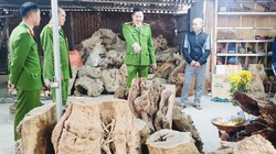 Kiểm tra, tạm giữ nhiều tấn gỗ quý tại Sìn Hồ (Lai Châu) sau phản ánh của Dân Việt