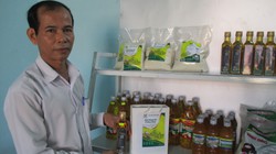 Tiên phong trong tích tụ ruộng đất, một hợp tác xã ở Quảng Nam được tôn vinh