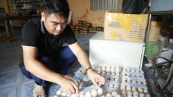 Đưa thương hiệu trứng vịt biển Đồng Rui vươn xa, một hợp tác xã ở Quảng Ninh được tôn vinh