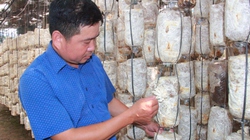 Một HTX sản xuất nấm sạch ở Nam Định vinh dự được Thủ tướng Chính phủ tặng Bằng khen
