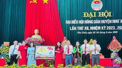 Thanh Hoá: Bà Lô Thị Diễn tái đắc cử Chủ tịch Hội Nông dân huyện Như Xuân 