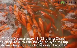 Clip: Chợ cá chép đỏ nhộn nhịp lúc 3h sáng ngày ông Công ông Táo