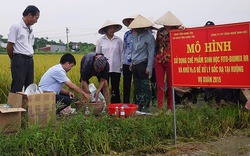 Hưng Yên: Vạch lộ trình cho nông nghiệp hàng hóa