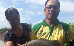 Tự hào nông dân Việt Nam 2017: Tỷ phú cá vược tạo cơ nghiệp sau những lần thất bại
