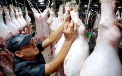 Từ 16.10, TP.HCM "cấm cửa" thịt lợn không có thông tin truy xuất nguồn gốc