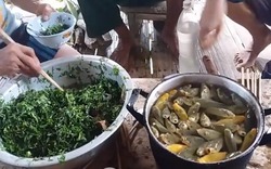 Video: Sửng sốt nhóm đàn ông ăn cá “nhảy” bơi trong chậu
