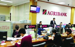 Agribank Bắc Giang gõ cửa nông nghiệp sạch