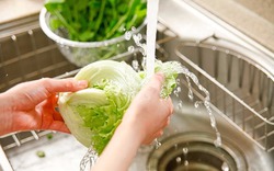 Mẹo hay: Dùng thứ gì để đảm bảo rau quả được rửa sạch