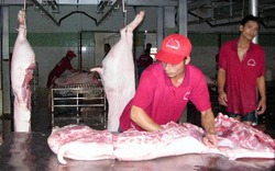 Giải pháp cấp bách khai thông thị trường xuất khẩu thịt lợn