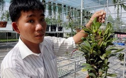 Người thuần dưỡng 150 loài lan rừng độc lạ từ nhiều quốc gia