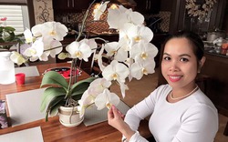 Vườn lan mini khoe sắc suốt bốn mùa trong nhà người mẹ Việt tại Canada