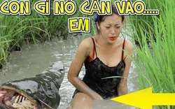 CÓ CON GÌ NÓ CẮN VÀO...CỦA EM Ý