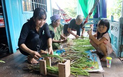 Tín hiệu vui từ mô hình trồng măng tây xanh trên đất Bình Thạnh