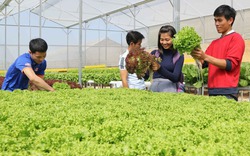 Agribank giải bài toán phát triển nông nghiệp công nghệ cao