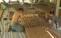 “Hai Lúa” chế tạo máy làm xơ dừa, xuất thảm sang Hàn Quốc
