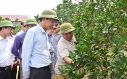 Quảng Ninh: Đầu tàu nông thôn mới, những thông điệp và kỳ vọng