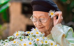 Bộ ảnh đặc biệt của bà ngoại 99 tuổi bên hoa cúc họa mi
