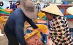  Ngư dân Quảng Ngãi kiếm tiền tỷ trong mùa ruốc muộn 