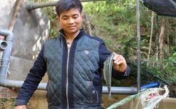 Chàng trai người Dao lập trại cá hồi trên đỉnh Mẫu Sơn 