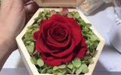 Hoa hồng "siêu độc" ngày Valentine