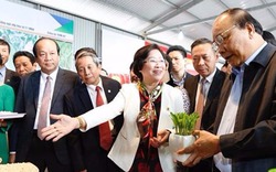 Thủ tướng "xông nhà" nông nghiệp công nghệ cao