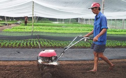 Làm nông thôn mới không phải để báo cáo thành tích