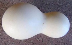 Kỳ lạ: Quả trứng gà mang hình hài hồ lô