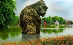 Cư dân mạng chế ảnh phản đối dựng mô hình 3D King Kong tại hồ Gươm
